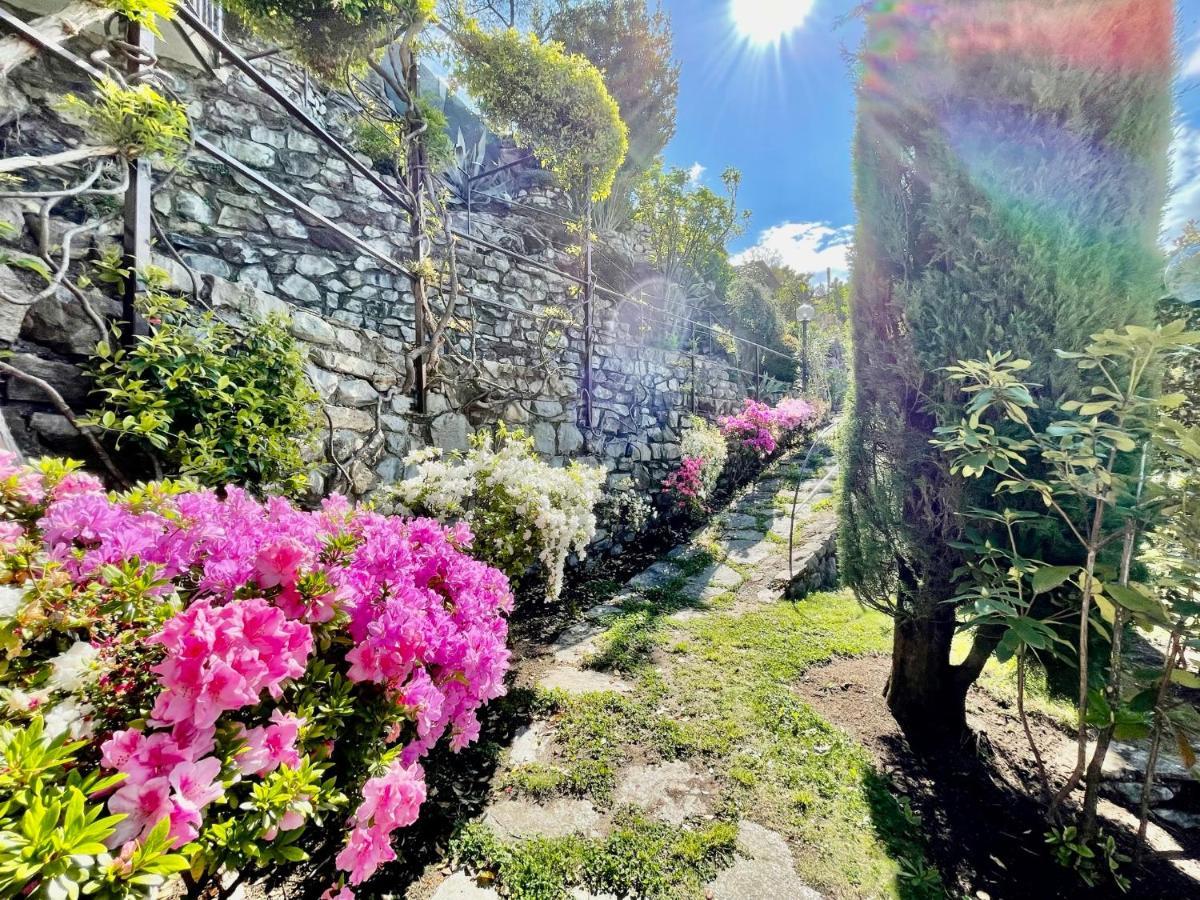 Eden Sul Lago Di Como Nesso Exterior photo