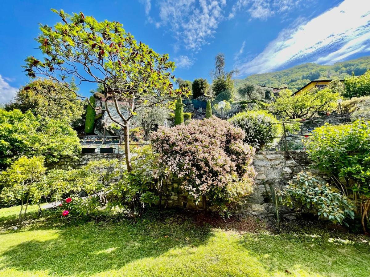 Eden Sul Lago Di Como Nesso Exterior photo